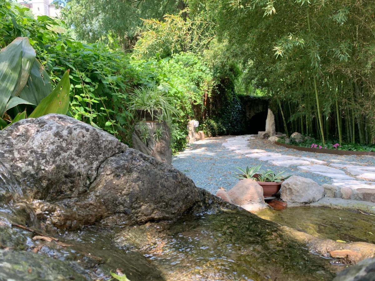 L'Isolo B&B E Case Vacanza Monzambano Εξωτερικό φωτογραφία