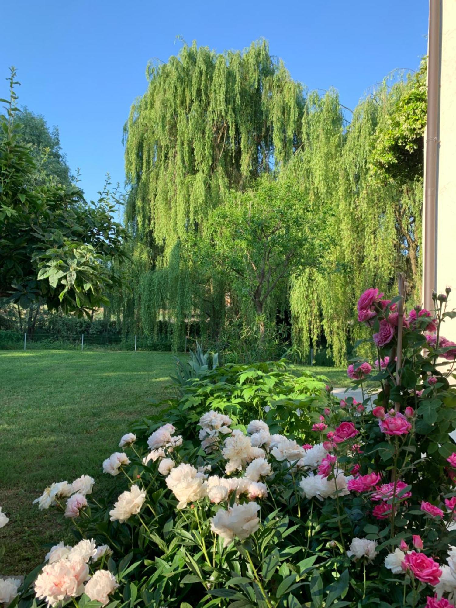 L'Isolo B&B E Case Vacanza Monzambano Εξωτερικό φωτογραφία